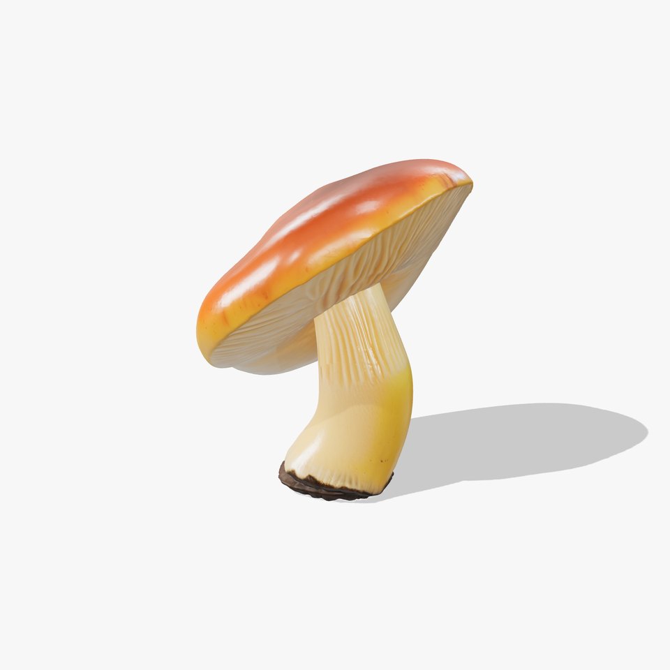 Young Chanterelle Mushroom Curvature model pack